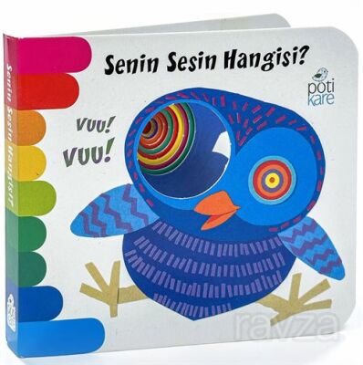 Senin Sesin Hangisi / Mini Delikli Kitaplar - 1