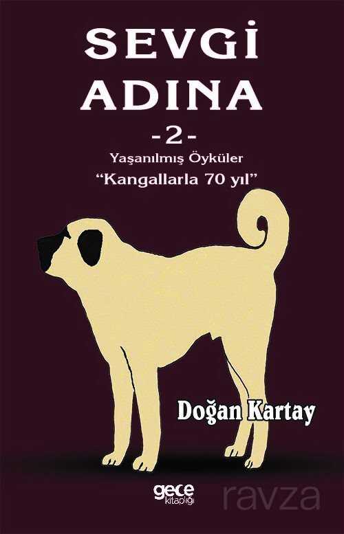 Sevgi Adına Öyküler 2 - Gece Kitaplığı