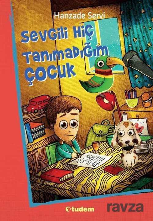 Sevgili Hiç Tanımadığım Çocuk - Tudem Yayınevi