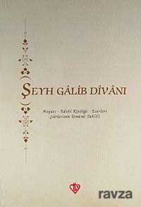 Şeyh Galib Divanı - Diyanet Vakfı Yayınları