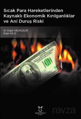 Sıcak Para Hareketlerinden Kaynaklı Ekonomik Kırılganlıklar ve Ani Duruş Riski - 1