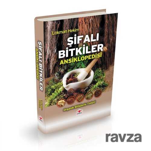 Şifalı Bitkiler Ansiklopedisi (Ciltli-İthal kağıt) - Merve Yayınları