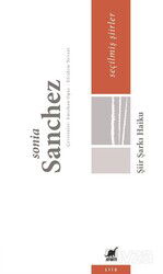 Şiir Şarkı Haiku - Ayrıntı Yayınları