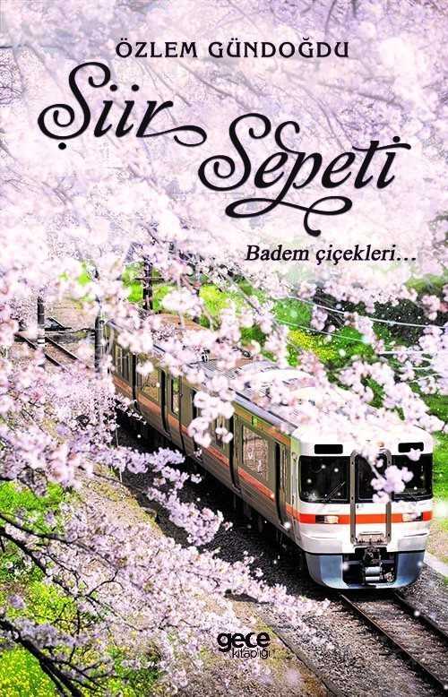 Şiir Sepeti 2 - Gece Kitaplığı