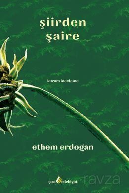 Şiirden Şaire - 1