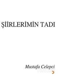 Şiirlerimin Tadı - 1