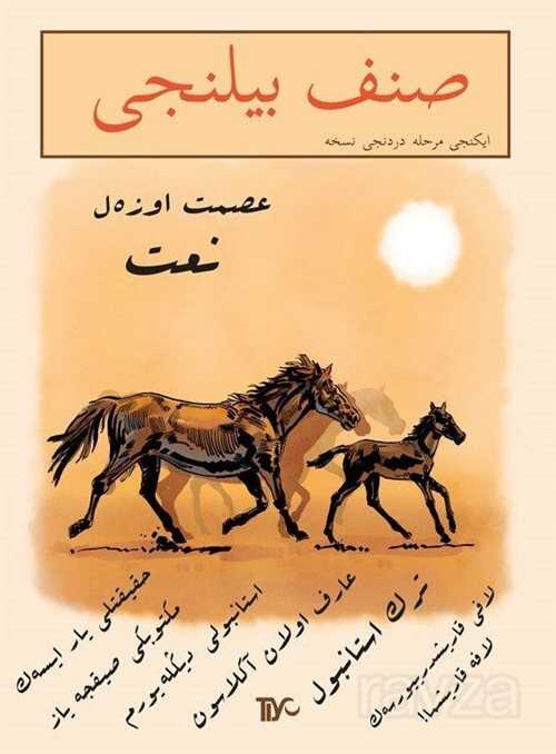 Sınıf Bilinci İkinci Merhale Dördüncü Nüsha - Tiyo Yayınları