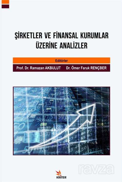 Şirketler ve Finansal Kurumlar Üzerine Analizler - 1