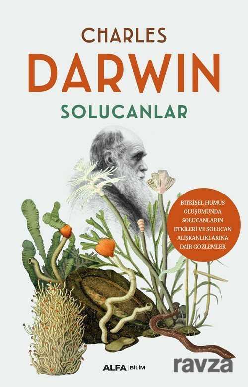 Solucanlar - Alfa Yayınları