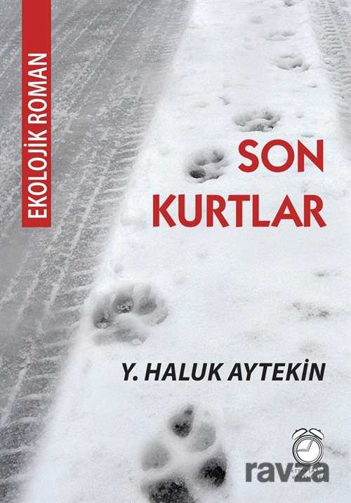 Son Kurtlar - Kitap Saati Yayınları