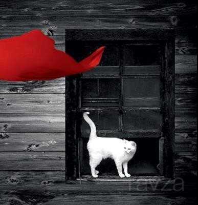 Son Resim - Doğu Kitabevi