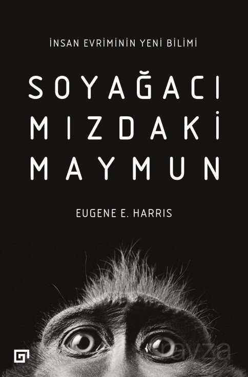 Soyağacımızdaki Maymun: İnsan Evriminin Yeni Bilimi - 1