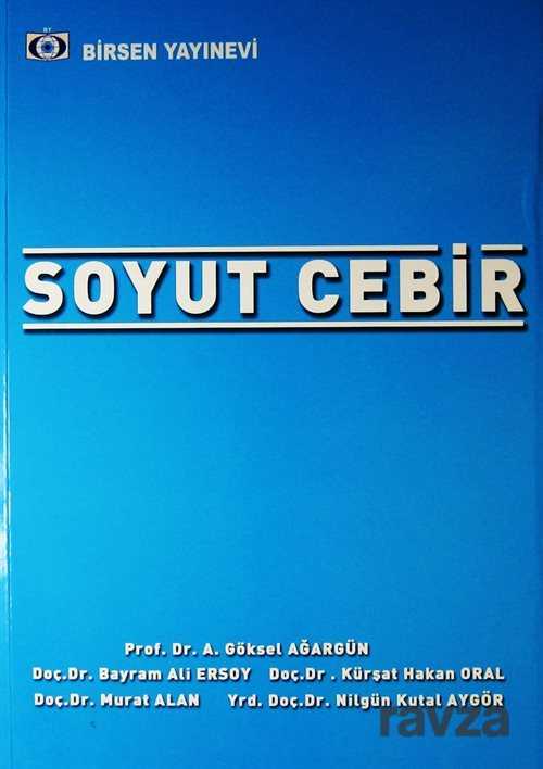 Soyut Cebir - Birsen Yayınevi