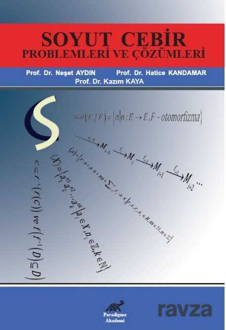 Soyut Cebir Problemleri ve Çözümleri - Paradigma Akademi Yayınları