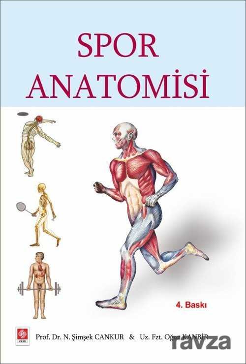 Spor Anatomisi - 1