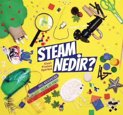 Steam Nedir? - Ayrıntı Yayınları