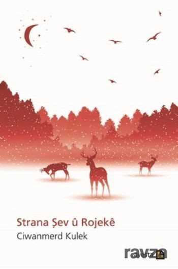 Strana Şev u Rojeke - Avesta Basın Yayın