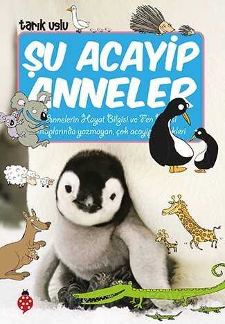 Şu Acayip Anneler - Uğurböceği Yayınları