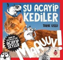 Şu Acayip Kediler - Uğurböceği Yayınları