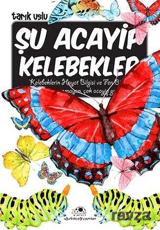 Şu Acayip Kelebekler - Uğurböceği Yayınları