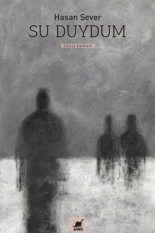 Su Duydum - Ayrıntı Yayınları