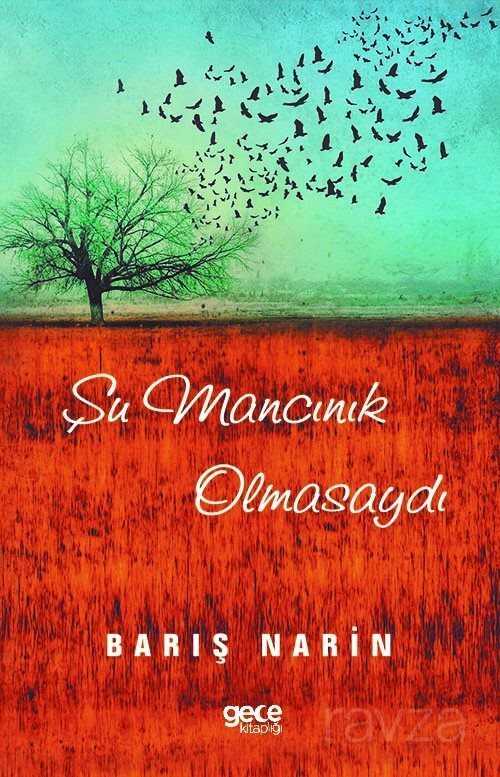 Şu Mancınık Olmasaydı - Gece Kitaplığı