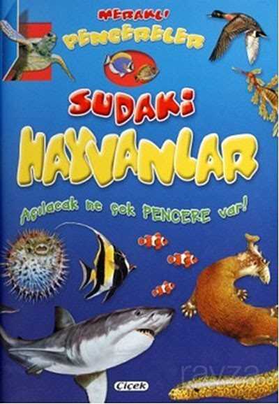 Sudaki Hayvanlar / Meraklı Pencereler - Çiçek Yayıncılık