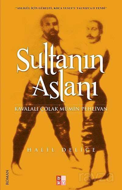 Sultanın Aslanı - Babıali Kültür Yayıncılığı