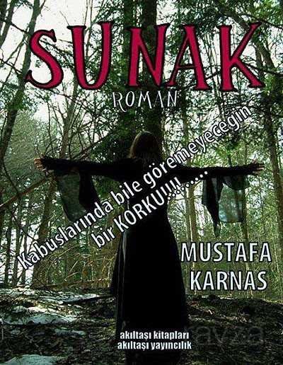 Sunak - 1