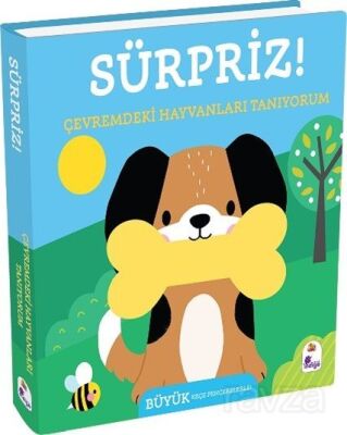 Sürpriz! / Çevremdeki Hayvanları Tanıyorum - 1