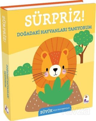 Sürpriz! / Doğadaki Hayvanları Tanıyorum - 1