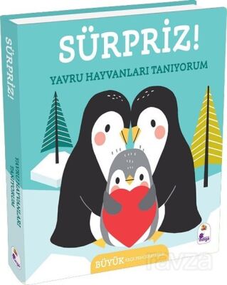 Sürpriz! / Yavru Hayvanları Tanıyorum - 1