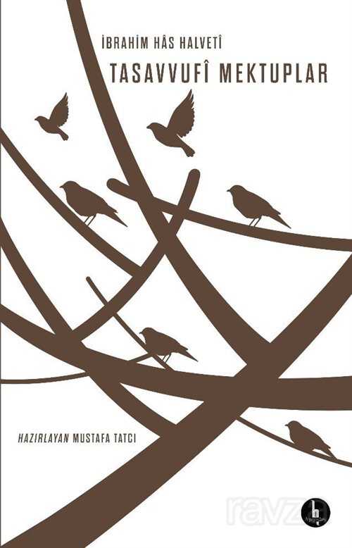 Tasavvufi Mektuplar - H Yayınları