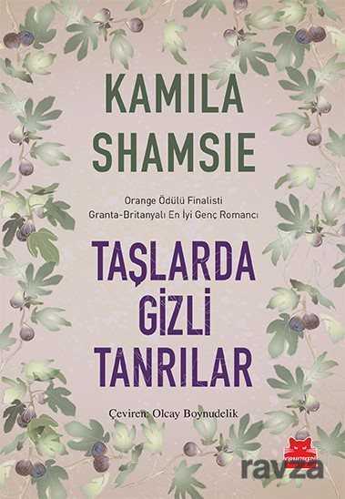 Taşlarda Gizli Tanrılar - Kırmızı Kedi Yayınevi