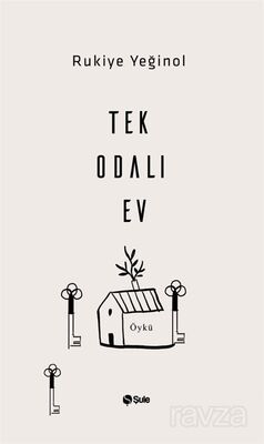 Tek Odalı Ev - 1