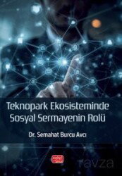 Teknopark Ekosisteminde Sosyal Sermayenin Rolü - Nobel Bilimsel