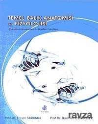 Temel Balık Anatomisi ve Fizyolojisi - 1