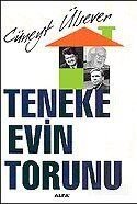 Teneke Evin Torunu - 1