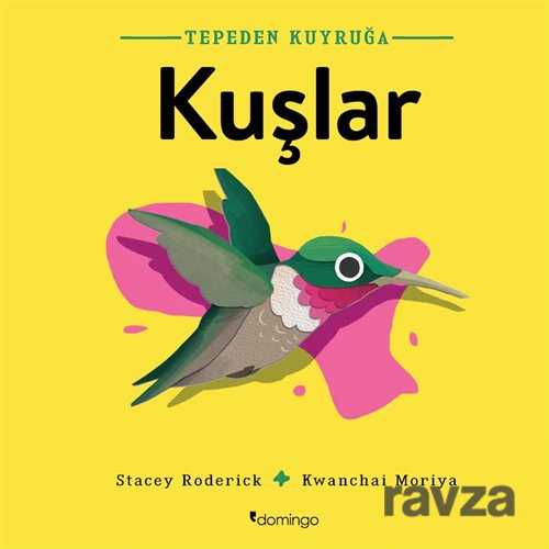 Tepeden Kuyruğa Kuşlar - Domingo Yayınevi Çocuk