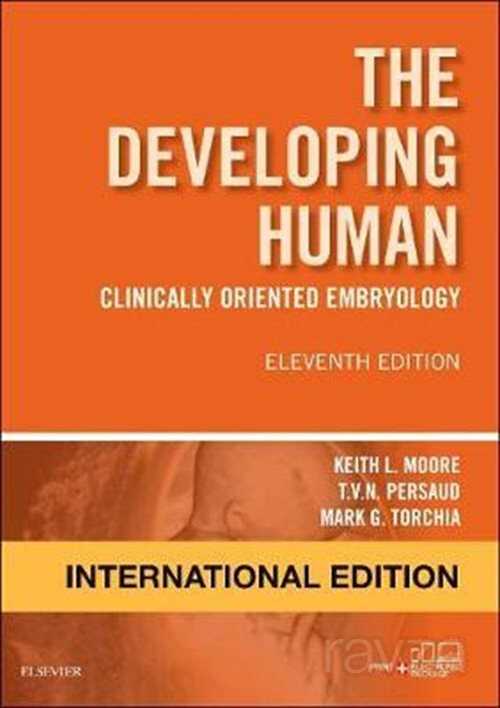 The Developing Human: Clinically Oriented Embryology, International Edition, 11th Edition - 1