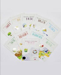 The Story Of The Prophet 10 Boks (Peygamber Hikayeleri 10 Kitap) Ingilizce - Diyanet İşleri Başkanlığı