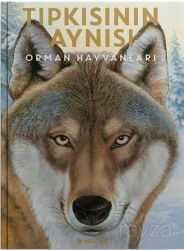 Tıpkısının Aynısı - Usturlab