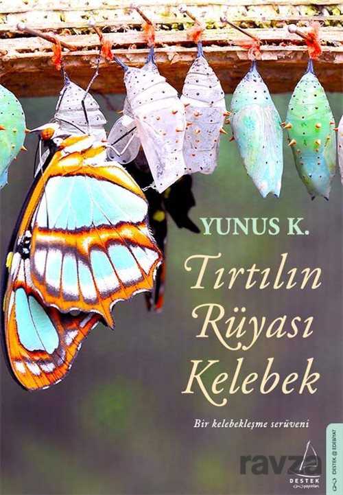 Tırtılın Rüyası Kelebek - 1