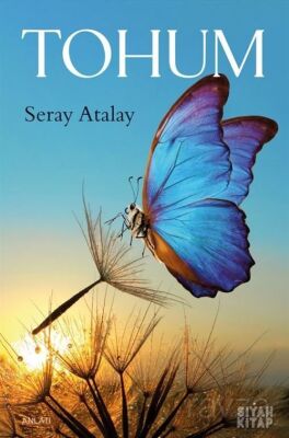 Tohum - 1