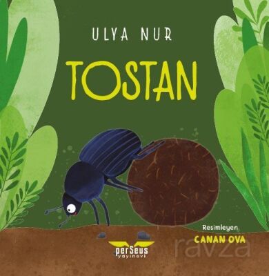 Tostan - 1