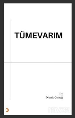Tümevarım - 1