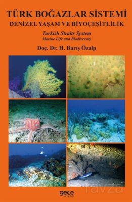 Türk Boğazlar Sistemi - 1