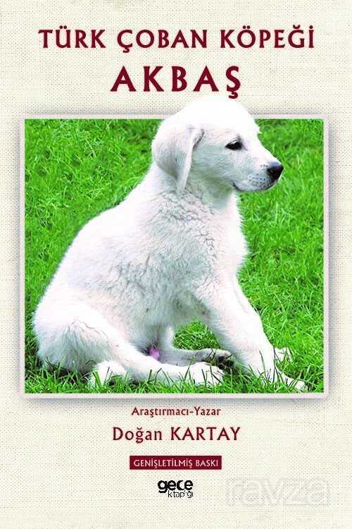 Türk Çoban Köpeği Akbaş - Gece Kitaplığı