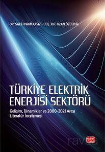 Türkiye Elektrik Enerjisi Sektörü - 1