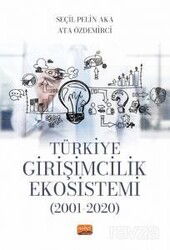 Türkiye Girişimcilik Ekosistemi (2001-2020) - Nobel Bilimsel